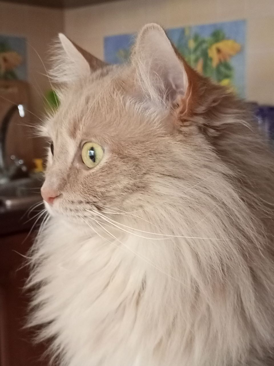 Доброе утро, Кубань!. Краснодар +12 °С Доброе утро, Кубань!. Краснодар +12 °С