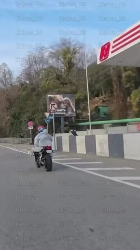 ������� �������. �����������, ������������ �� ������� � ����������� �������, ���� �� ��������� � ������ ����� ���������� �����