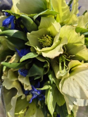 Кажется, апрель пришёл в Краснодар!