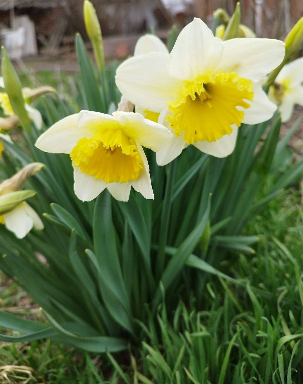 О погоде на 22 марта . В Краснодарском крае переменная облачность О погоде на 22 марта . В Краснодарском крае переменная облачность