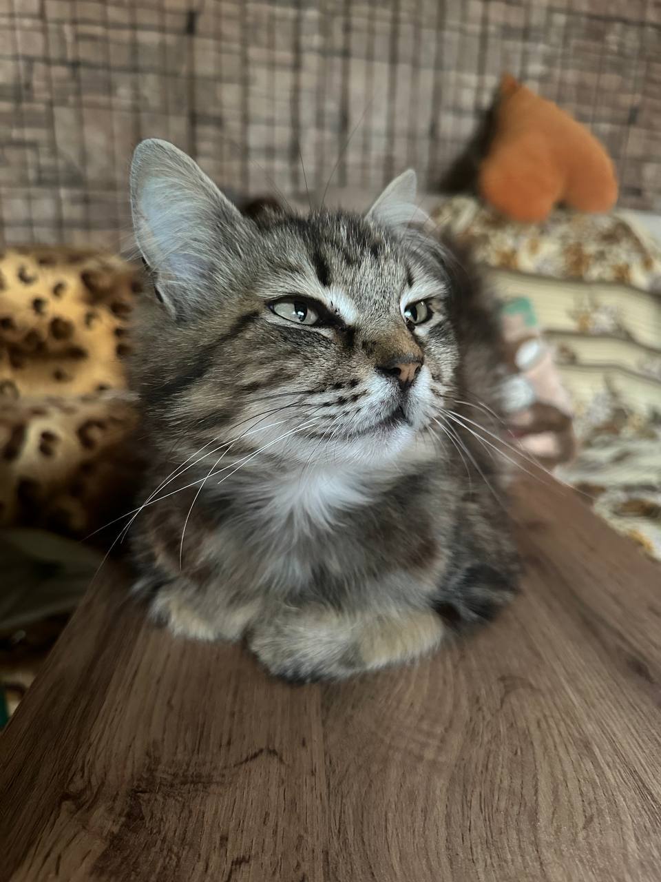 Доброе утро, Кубань!. Краснодар +16 °С Доброе утро, Кубань!. Краснодар +16 °С