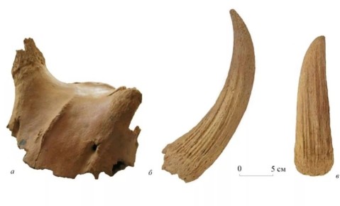 � ����� ����� ������� ����� ��������� ����