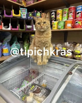 �������� ���� ������ �� ��������