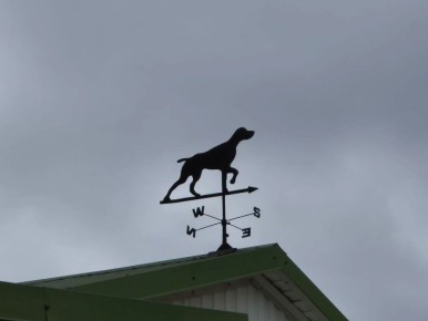 ������� ����� ����������. ����������� ������� ���� �������� ��������