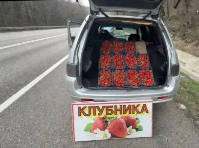 �������� ������������ � ���������� �������� ��������� �� �������� �����