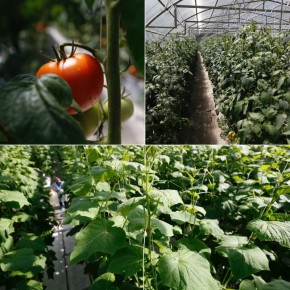 �������� ����������: � ������ ���� �� ������ ������� ������������ ��������� ������