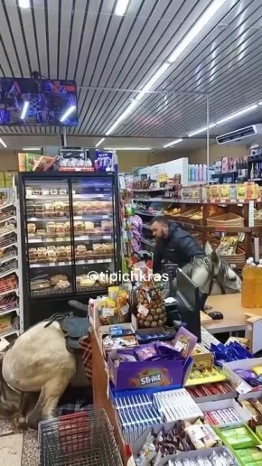 "Мы с конем по полю идем": мужчина заехал на коне в магазинчик на Красной Поляне