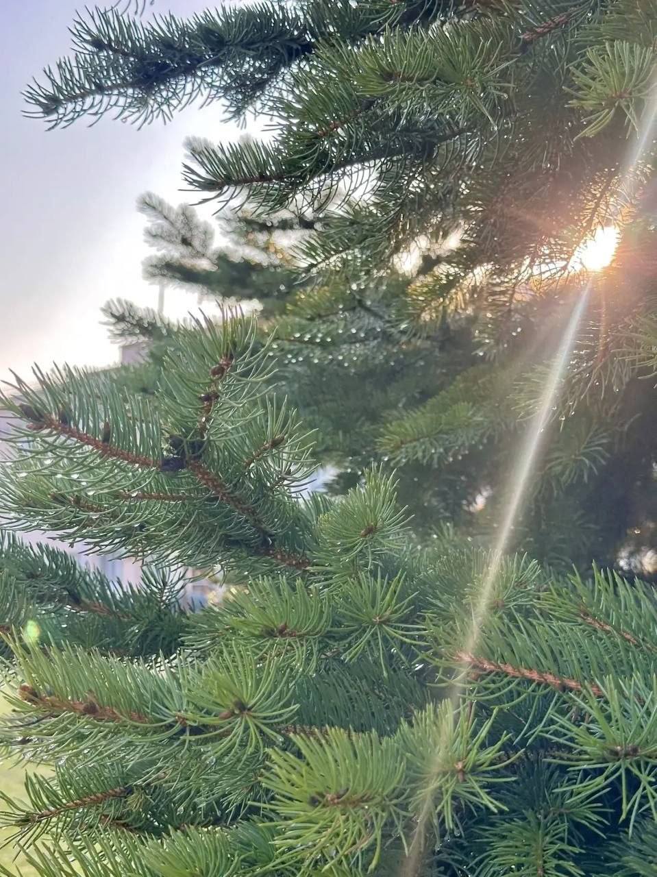 О погоде на 23 марта. В Краснодарском крае переменная облачность О погоде на 23 марта. В Краснодарском крае переменная облачность