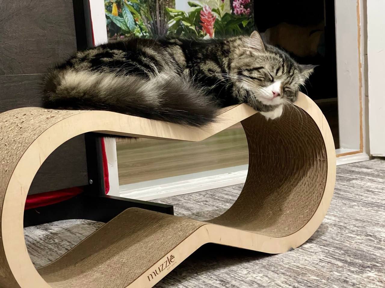 О погоде на 23 марта. В Краснодарском крае переменная облачность О погоде на 23 марта. В Краснодарском крае переменная облачность