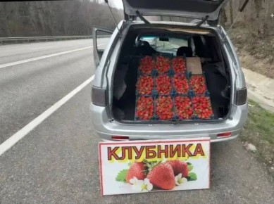 На обочинах трасс появились первые «клубничники»