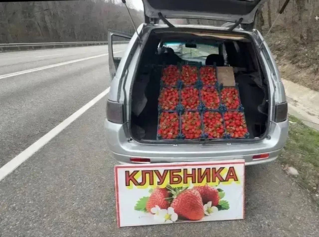 На обочинах трасс появились первые «клубничники»