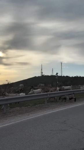 ������ ��� ������. ��� �������� � ������ � ����������