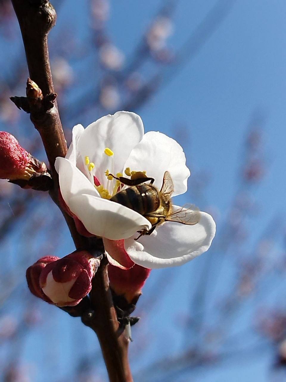 О погоде на 23 марта. В Краснодарском крае переменная облачность О погоде на 23 марта. В Краснодарском крае переменная облачность