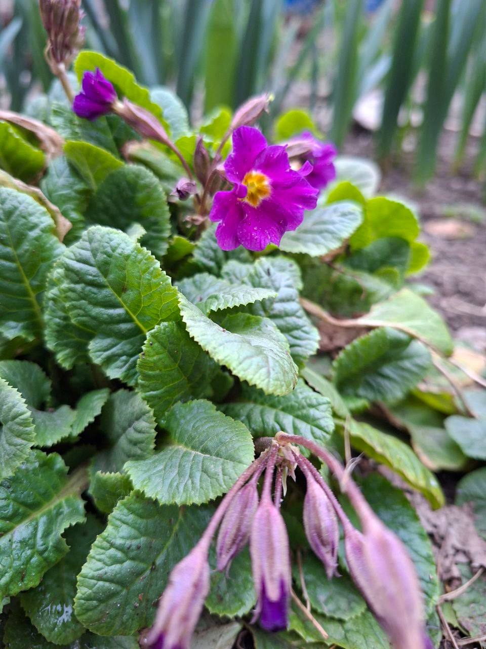 О погоде на 23 марта. В Краснодарском крае переменная облачность О погоде на 23 марта. В Краснодарском крае переменная облачность