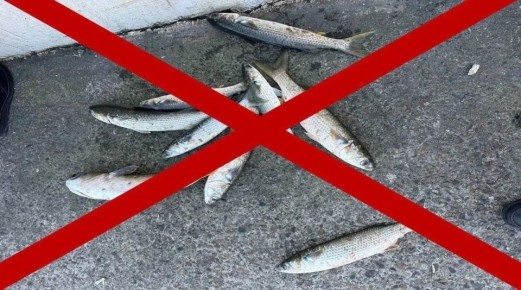 В Новороссийске запретили ловить рыбу