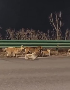 � ����� ���� ���������� ����� �������������� ������� �� ���������� �� ��������� �������� ����� � ������ ��������� �����