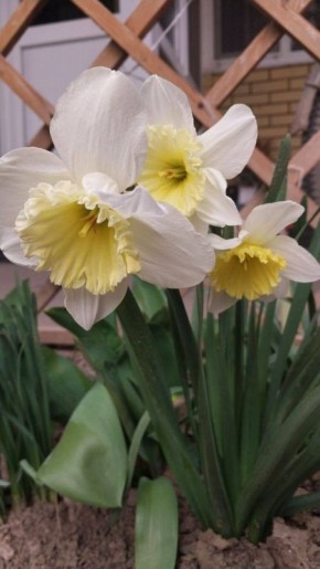 � ������ �� 24 ����� . � ������������� ���� ������� � ������������