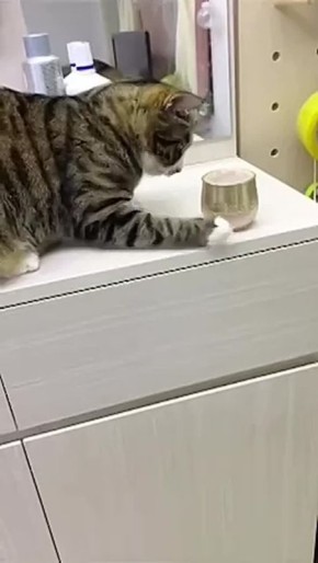 ��� ���� ������ ���, ��� ��� �� ��� �����