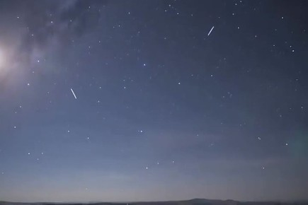 ������ ���������� � ���� ������ ��������� ��������� ������ � 16 ������