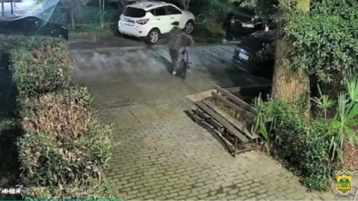 ����� � �����. ���������, ����������� �������������� � �������� �� ���� � ����, ���� ������ ������� ��� �������, �������� �� ������ �����������