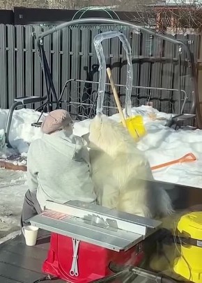 ������� ����������� �� ������� ������ � ����������� �� ��� ������