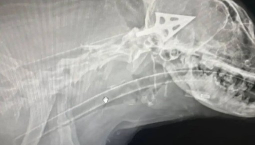 ������� ������ ������ � �������������