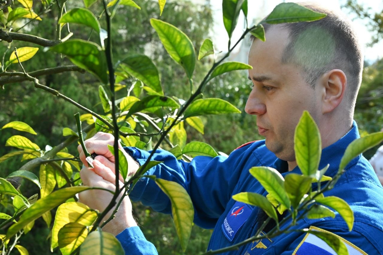 В честь 45-летия музея «Дерево Дружбы» глава Сочи Андрей Прошунин и космонавт-испытатель Олег Платонов сделали памятную прививку В честь 45-летия музея «Дерево Дружбы» глава Сочи Андрей Прошунин и космонавт-испытатель Олег Платонов сделали памятную прививку