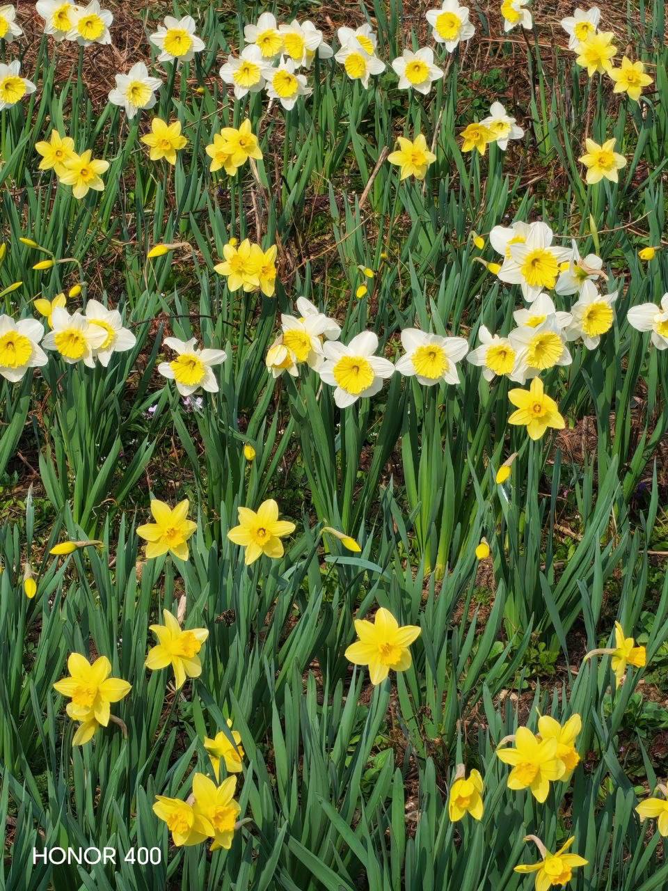 О погоде на 26 марта . В Краснодарском крае облачно с прояснениями О погоде на 26 марта . В Краснодарском крае облачно с прояснениями