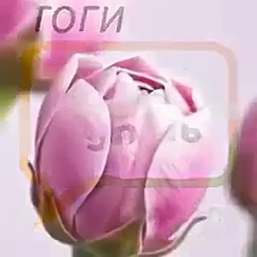 ������� �� �������, 25 �����: