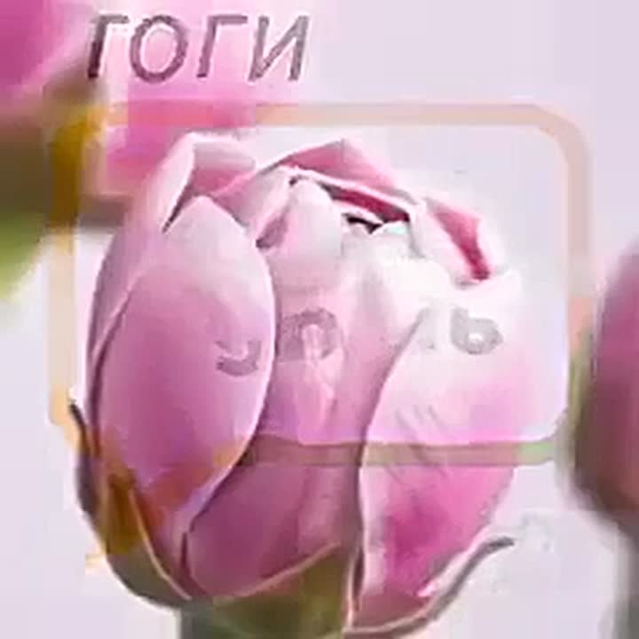 Главное на сегодня, 25 марта: