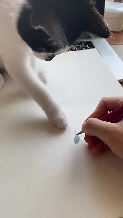 Какой шустрый!. Принять участие в розыгрыше Мы в MAX