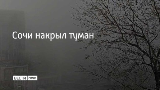В Сочи и на федеральной территории Сириус днем 26 марта, а также ночью и утром 27 марта местами ожидается туман