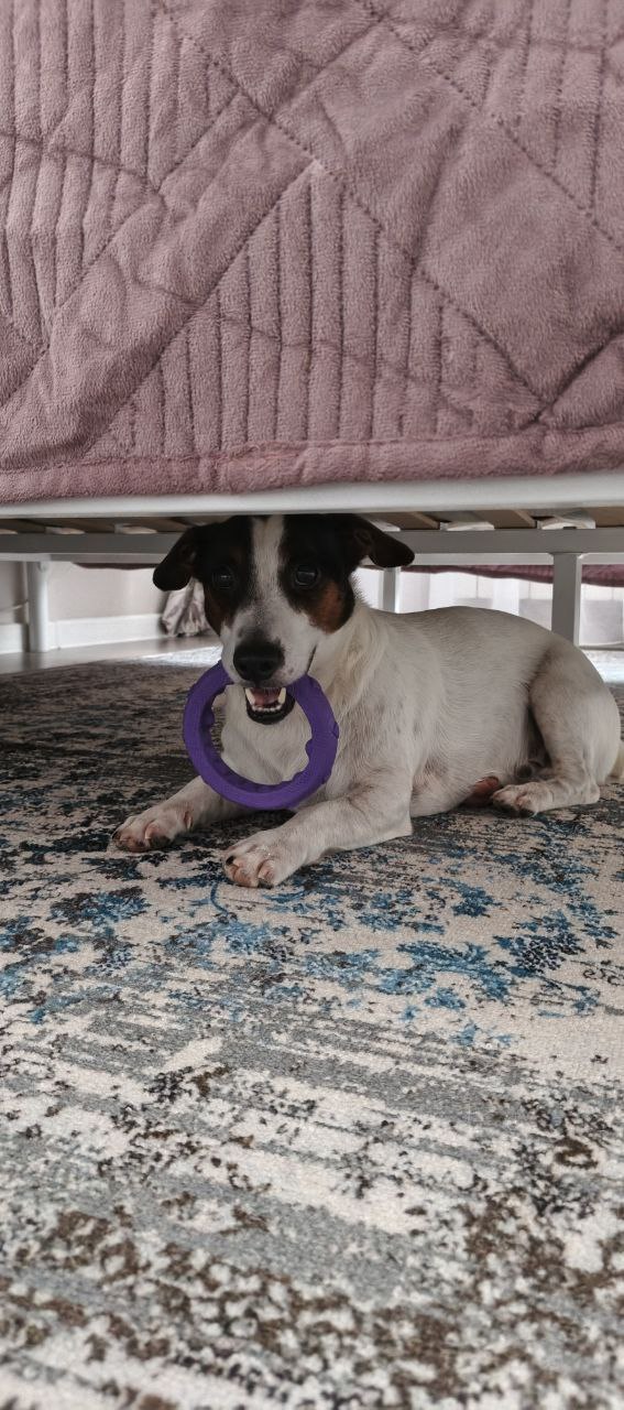 Доброе утро, Кубань!. Краснодар +15 °С Доброе утро, Кубань!. Краснодар +15 °С