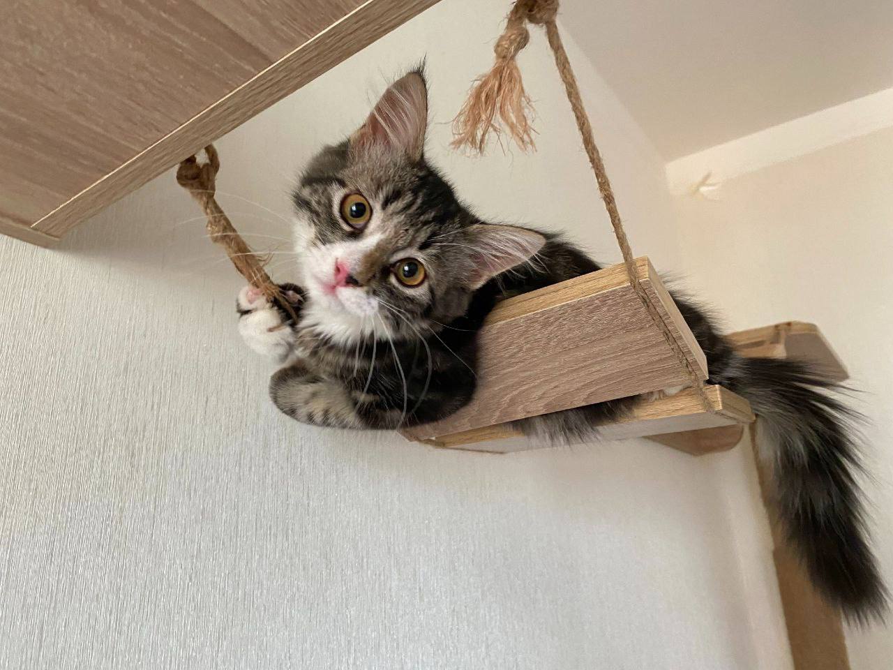 О погоде на 27 марта . В Краснодарском крае облачно с прояснениями О погоде на 27 марта . В Краснодарском крае облачно с прояснениями