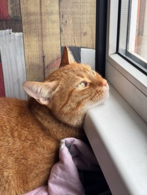 Доброе утро, Кубань!. Краснодар +15 °С