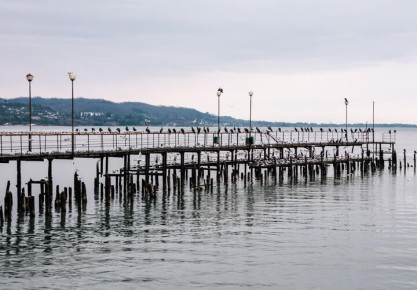 Заявление правительства: мазут еще в Черном море, откачают только к маю