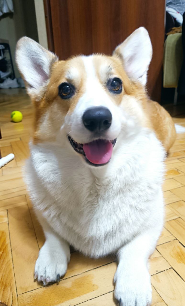 Доброе утро, Кубань!. Краснодар +15 °С Доброе утро, Кубань!. Краснодар +15 °С