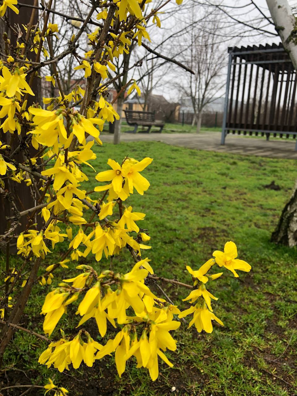 О погоде на 27 марта . В Краснодарском крае облачно с прояснениями О погоде на 27 марта . В Краснодарском крае облачно с прояснениями