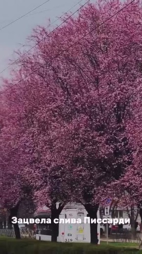 ��������� ��������� � ������� � ����� ������ � �������� ������������ ����