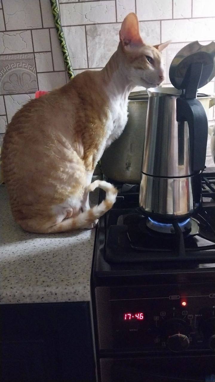 О погоде на 27 марта . В Краснодарском крае облачно с прояснениями О погоде на 27 марта . В Краснодарском крае облачно с прояснениями