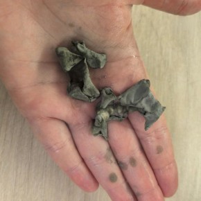 � ���� ������� ����� ����� ����� ����������� �������� ���� � ������ ����� �������� ���������� � ����, ������� �� �������