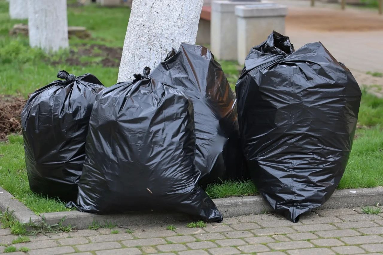 В АРМАВИРЕ ПРОШЕЛ ОБЩЕГОРОДСКОЙ СУББОТНИК В АРМАВИРЕ ПРОШЕЛ ОБЩЕГОРОДСКОЙ СУББОТНИК