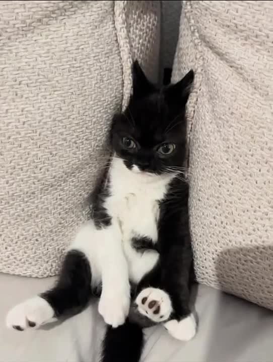 Состояние к концу недели. Мы в MAX