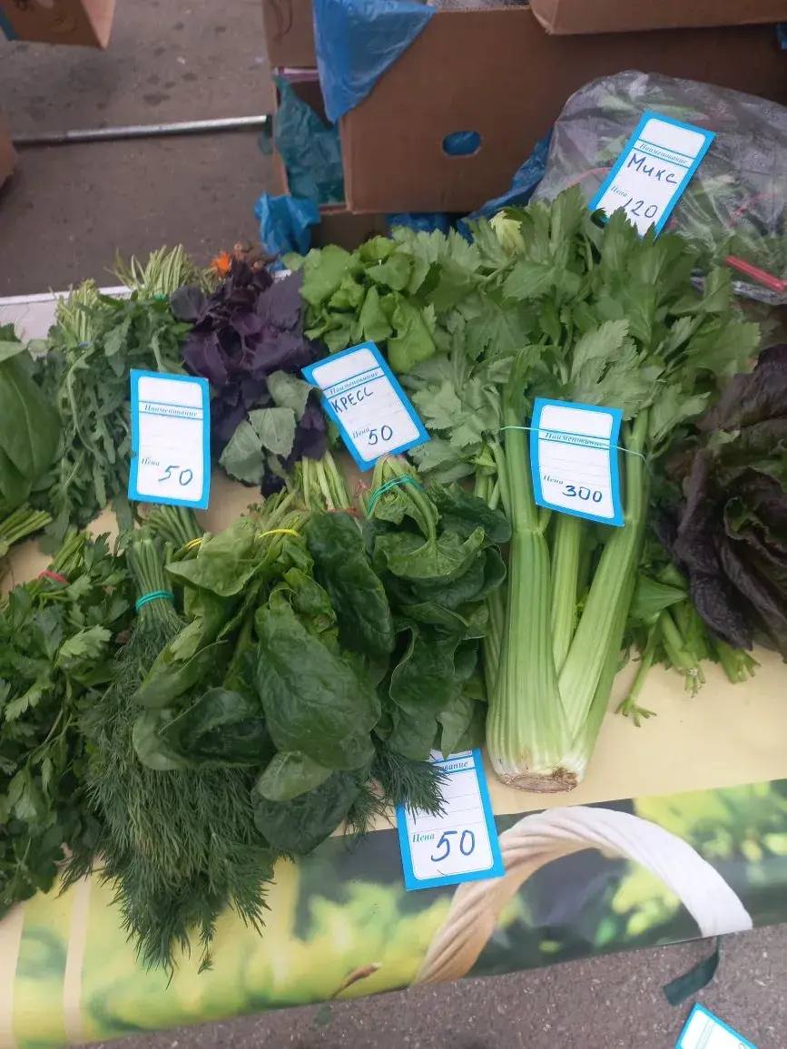 Цены на ярмарке выходного дня: свежие продукты по доступным ценам Цены на ярмарке выходного дня: свежие продукты по доступным ценам