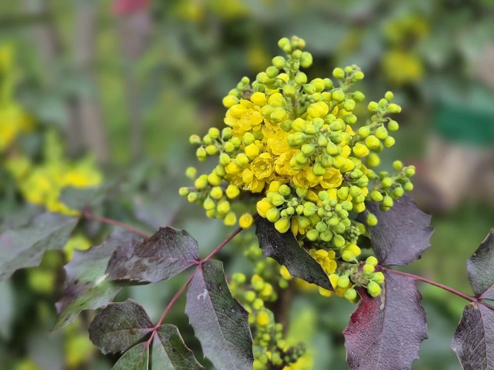 Тепло и облачно!. Такая погода ждет Краснодар сегодня Тепло и облачно!. Такая погода ждет Краснодар сегодня