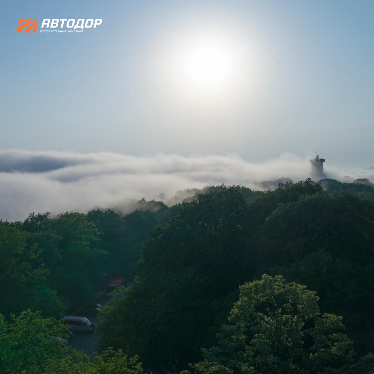 В Сочи сезон цветения косточковых В Сочи сезон цветения косточковых
