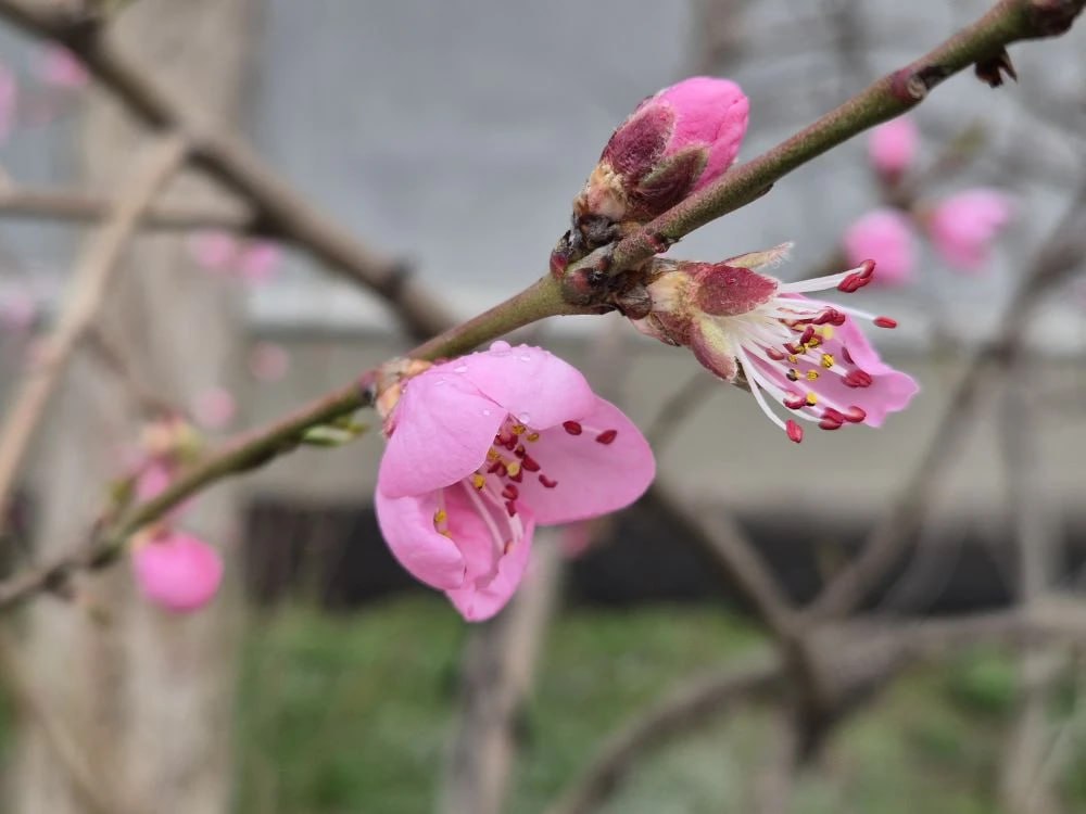 Тепло и облачно!. Такая погода ждет Краснодар сегодня
