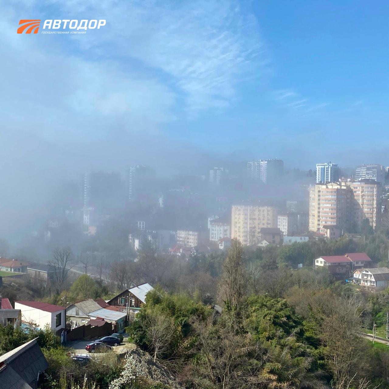 В Сочи сезон цветения косточковых В Сочи сезон цветения косточковых