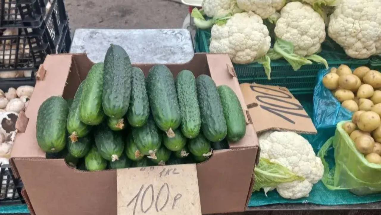 Цены на ярмарке выходного дня: свежие продукты по доступным ценам Цены на ярмарке выходного дня: свежие продукты по доступным ценам