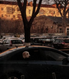 ���������� ���� ���������� ������� �����������